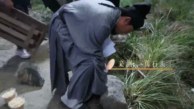 image10.GIF