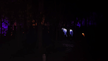 4月24日 (6).gif