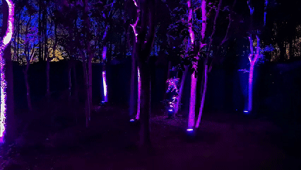 4月24日 (6)(1).gif