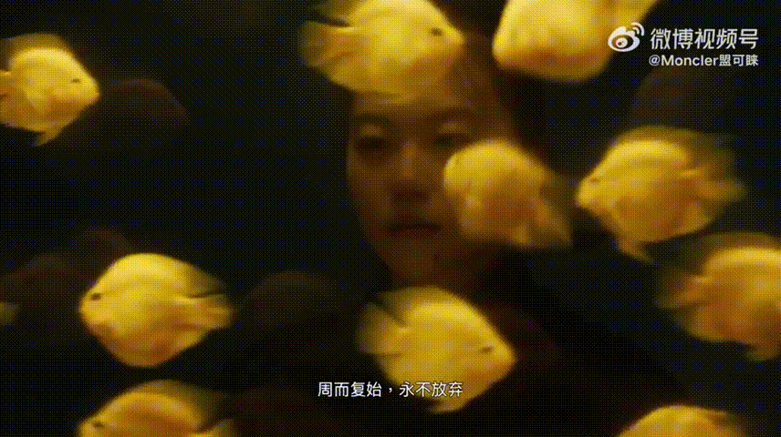 1786330630922593.gif 1786330630922593.gif